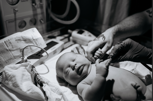 Birth Doula Support